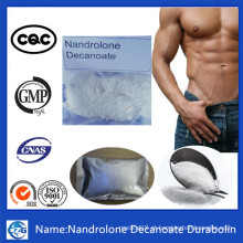 Deca Bodybuilding Hormone Powder Deca Nandrolone Decanoate